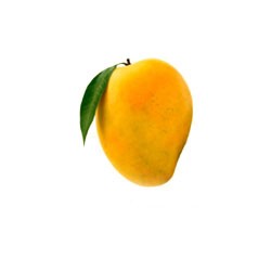 alphonsa