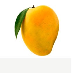 alphonso new