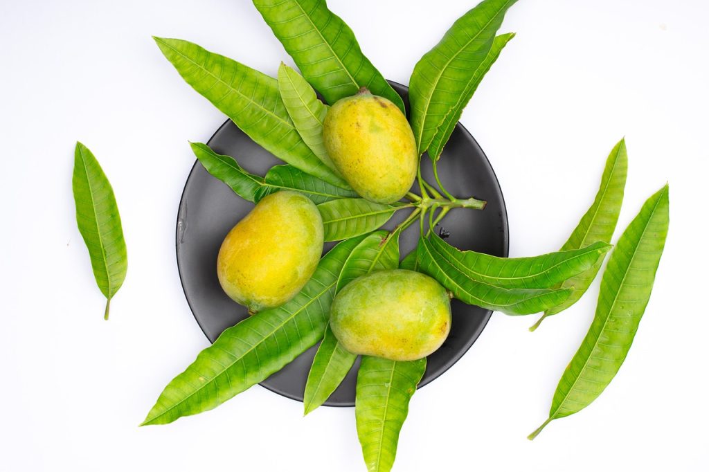 fruit, mango, organic-6793350.jpg