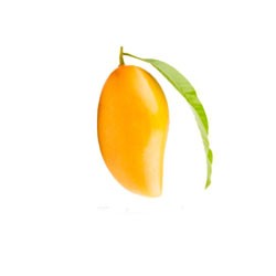 totopuri