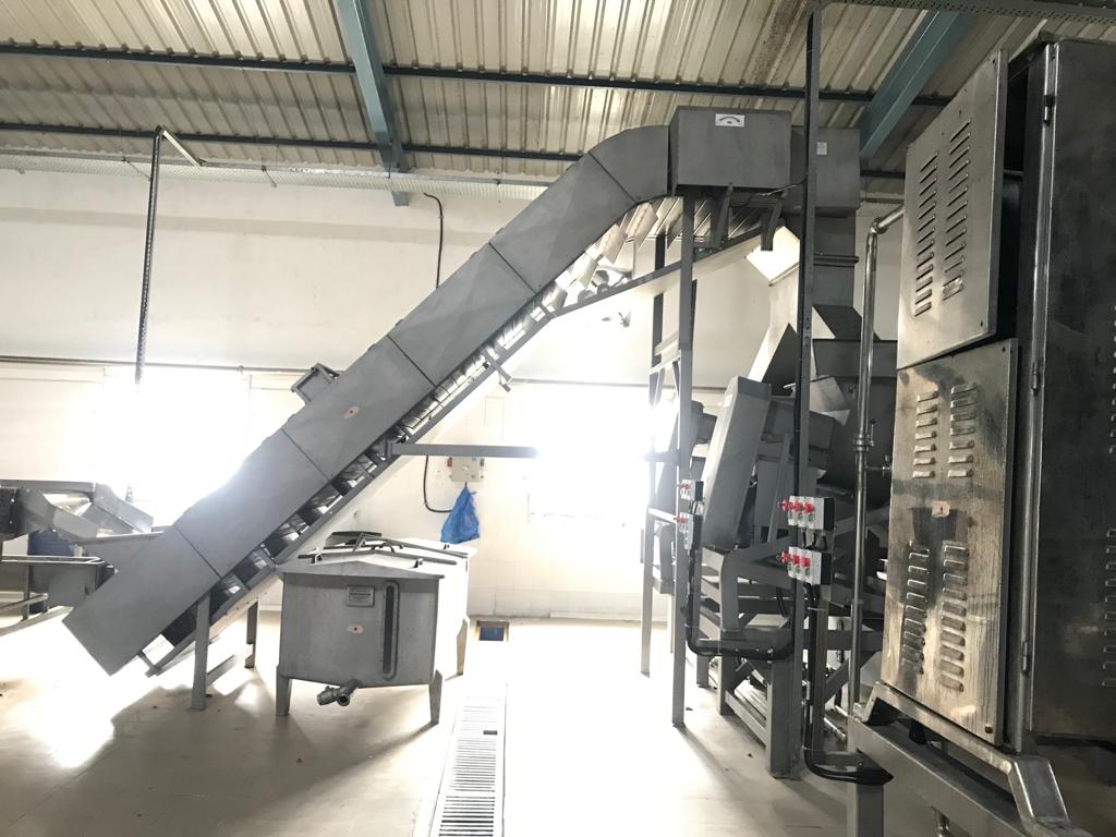 manufacturer of msngo pulp